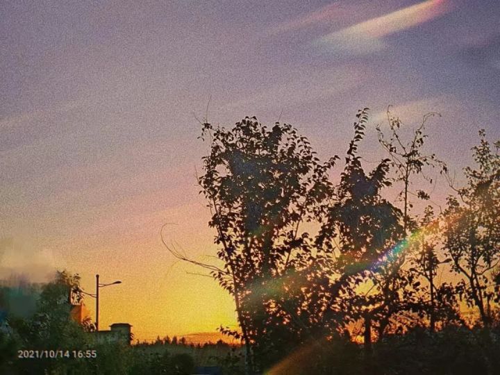 1636074257641474.jpg 640.webp (4).jpg