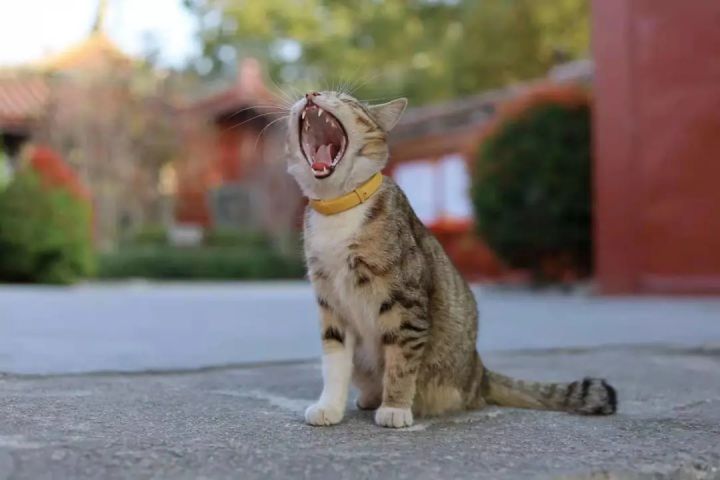 1627459926121233.jpg 640.webp (5).jpg