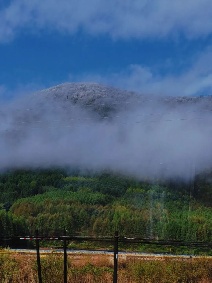 1627459008641603.jpg 640.webp.jpg