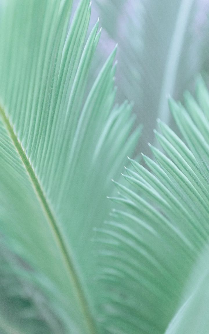 1627459358896265.jpg 640.webp (5).jpg