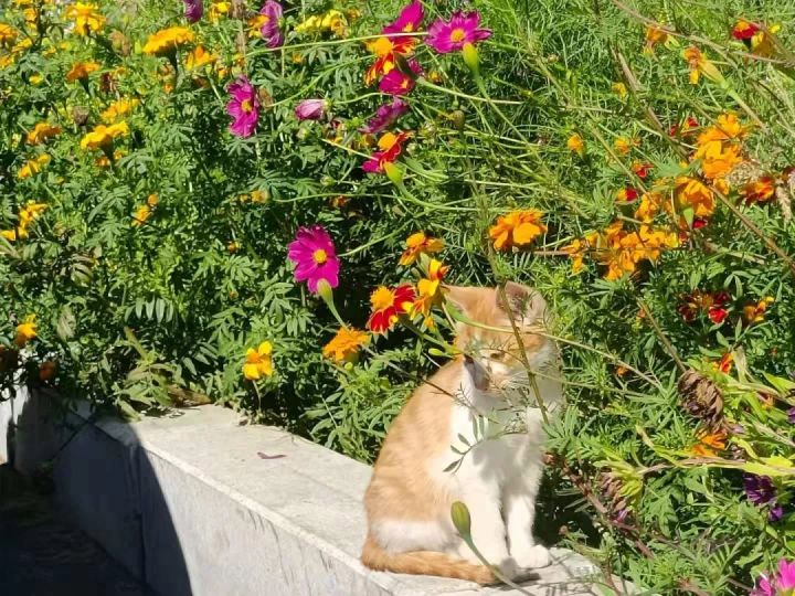 1636074358112902.jpg 640.webp (9).jpg