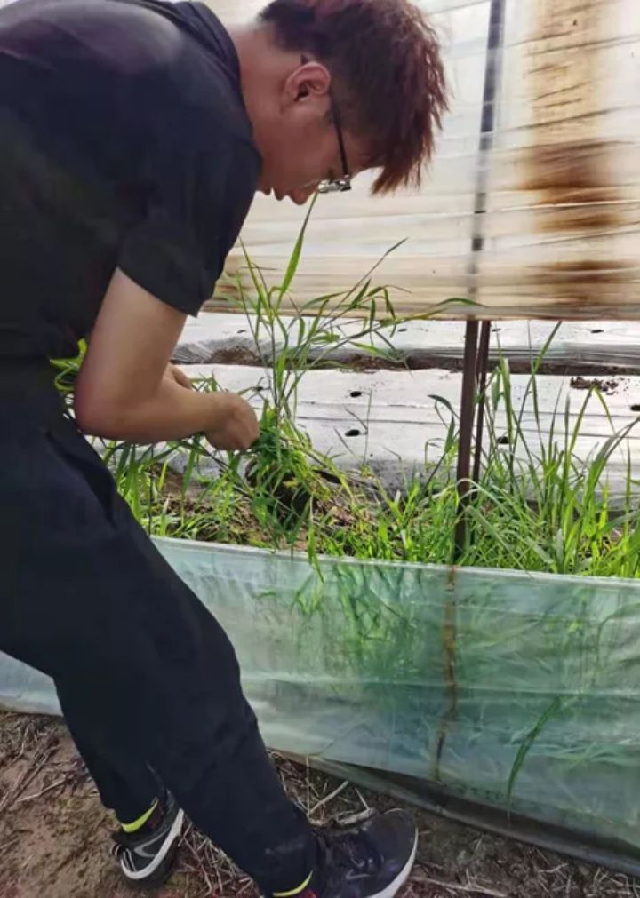 1630045119136922.jpg 640.webp (4).jpg