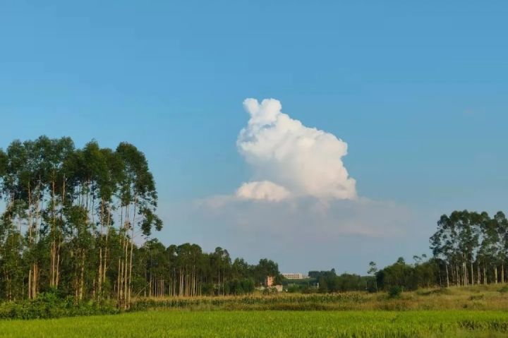 1639726726970581.jpg 640.webp (76).jpg